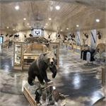 Stuffed bear in Rapid River Knifeworks Knife Store Showroom Stuffed bear in Rapid River Knifeworks Knife Store Showroom