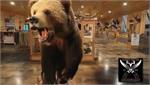 Stuffed bear in Rapid River Knifeworks Knife Store Showroom Stuffed bear in Rapid River Knifeworks Knife Store Showroom